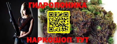 прущие крисы Новокубанск