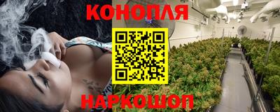 МДПВ Новодвинск