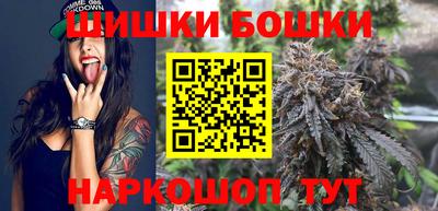 МДПВ Новодвинск