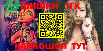 МДПВ Новодвинск
